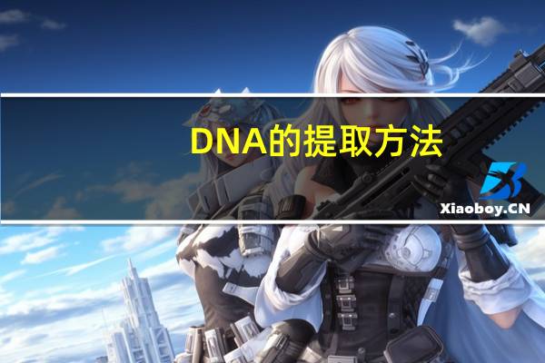 DNA的提取方法（dna提取方法和步骤）