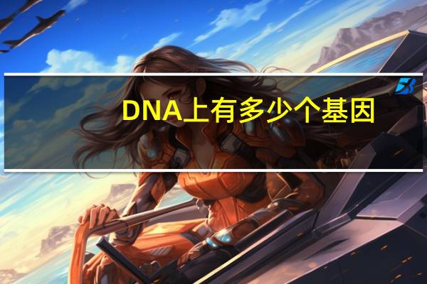 DNA上有多少个基因
