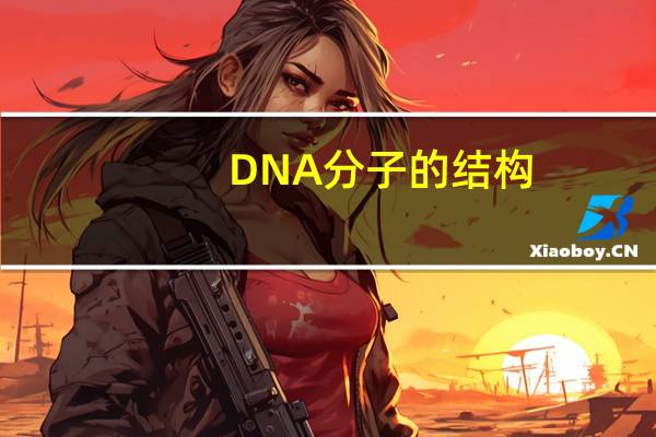 DNA分子的结构