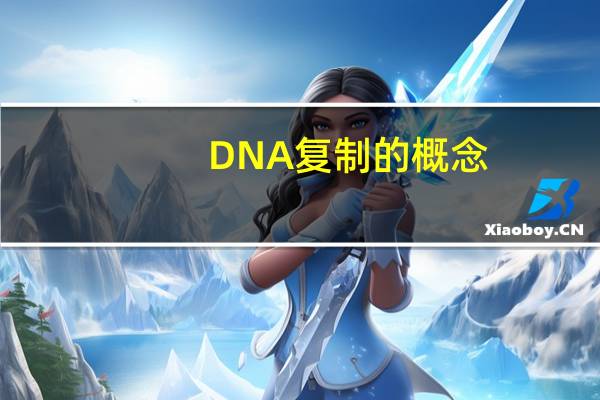 DNA复制的概念