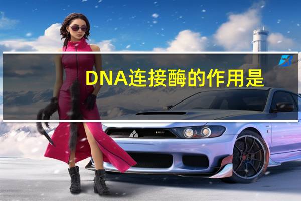 DNA连接酶的作用是( )