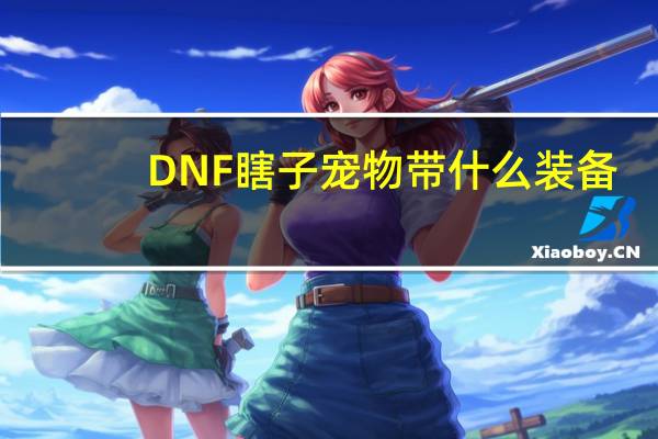 DNF瞎子宠物带什么装备
