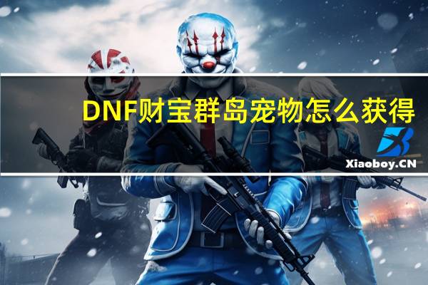 DNF财宝群岛宠物怎么获得