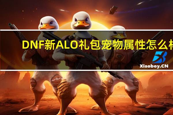 DNF新ALO礼包宠物属性怎么样（DNF真结衣宠物PK测试）