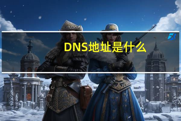 DNS地址是什么