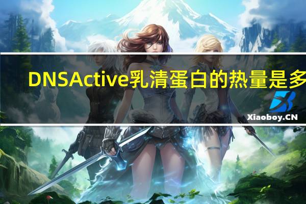 DNS Active 乳清蛋白的热量是多少
