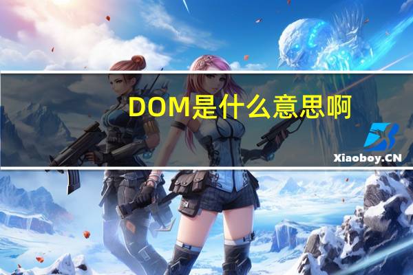 DOM是什么意思啊