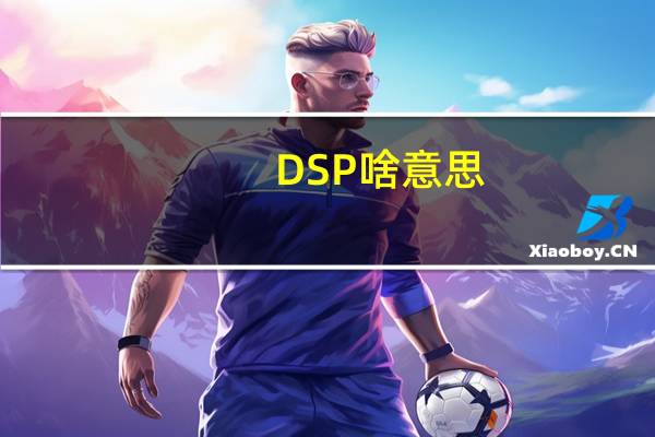 DSP啥意思