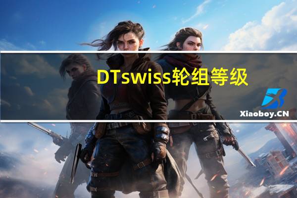 DT swiss轮组等级