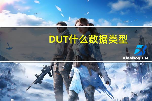 DUT什么数据类型