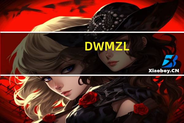 DWM Z L（dwm exe）