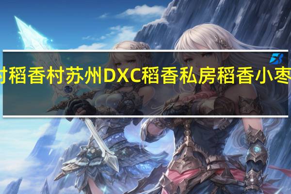 DXC稻香村 稻香村 苏州DXC 稻香私房 稻香小枣粽的热量是多少