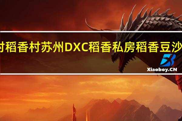 DXC稻香村 稻香村 苏州DXC 稻香私房 稻香豆沙粽的热量是多少