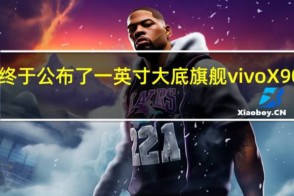 DXOMARK终于公布了一英寸大底旗舰vivoX90Pro+的相机评分