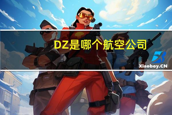 DZ是哪个航空公司