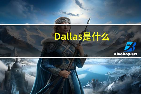 Dallas是什么（dallas是美国哪个州）