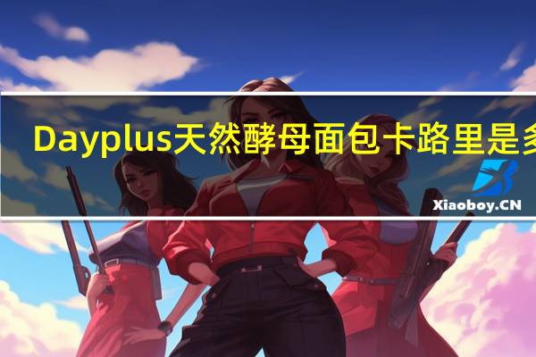 Dayplus 天然酵母面包卡路里是多少