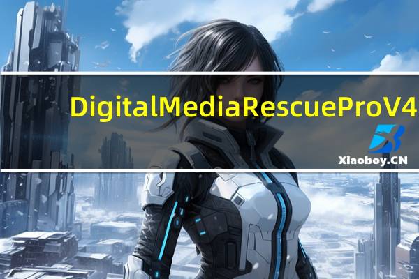 Digital MediaRescue Pro V4.5.165 绿色版（Digital MediaRescue Pro V4.5.165 绿色版功能简介）