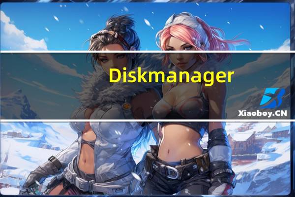 Diskmanager(diskman)