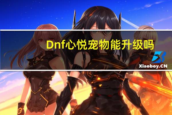Dnf心悦宠物能升级吗