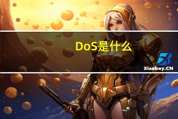 DoS是什么