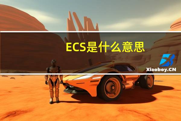 ECS是什么意思