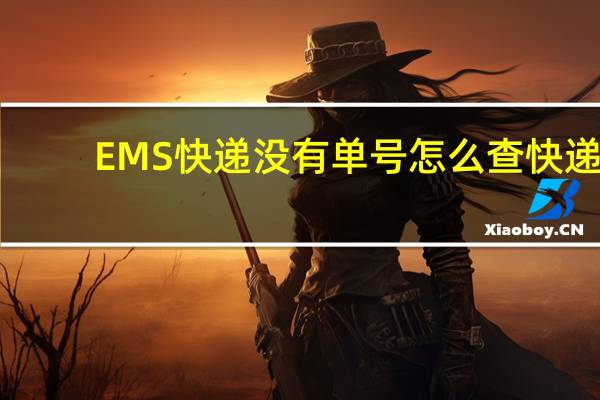 EMS快递没有单号怎么查快递
