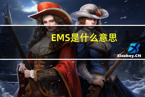EMS是什么意思