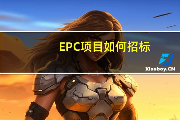 EPC项目如何招标