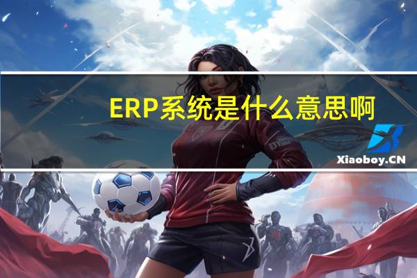 ERP系统是什么意思啊