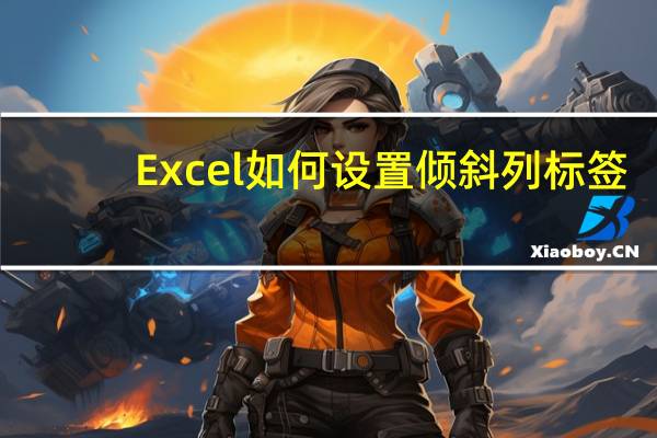 Excel如何设置倾斜列标签