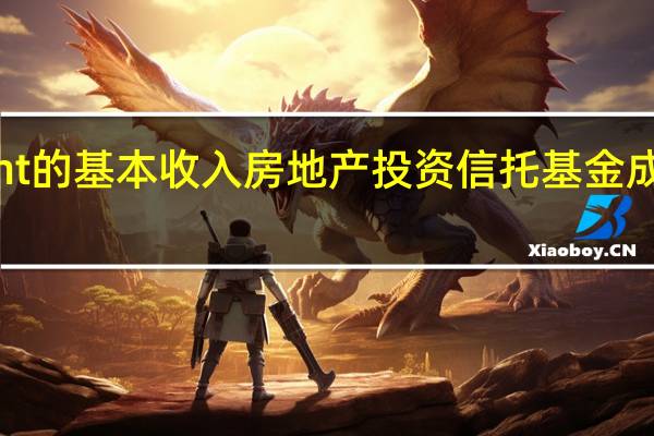ExchangeRight的基本收入房地产投资信托基金成功成为公开报告公司