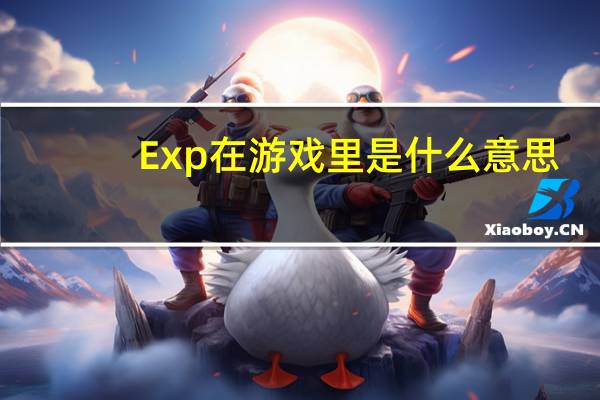Exp在游戏里是什么意思