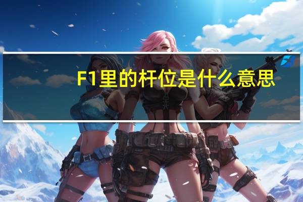 F1里的杆位是什么意思