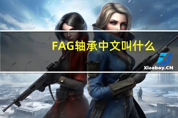 FAG軸承中文叫什么