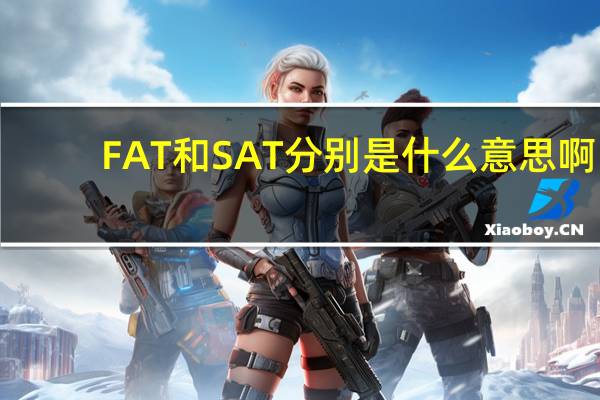 FAT和SAT分别是什么意思啊
