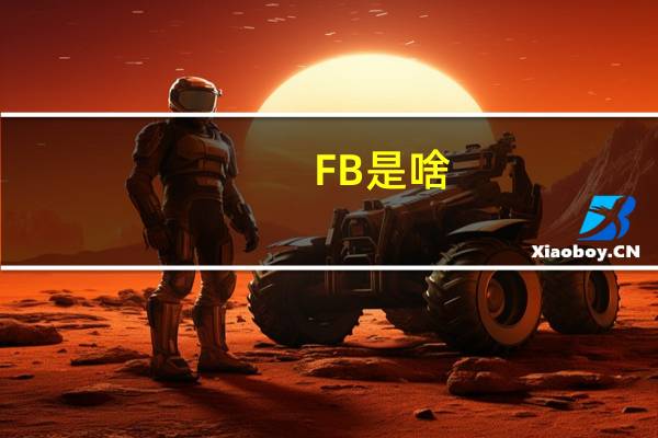 FB是啥