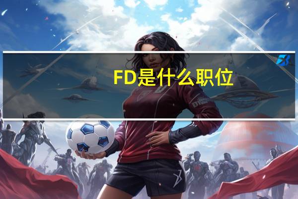 FD是什么职位