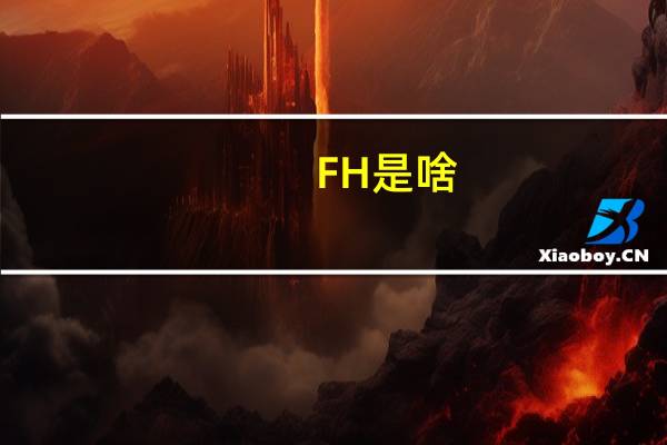 FH是啥