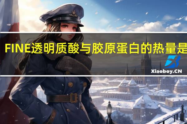FINE 透明质酸与胶原蛋白的热量是多少