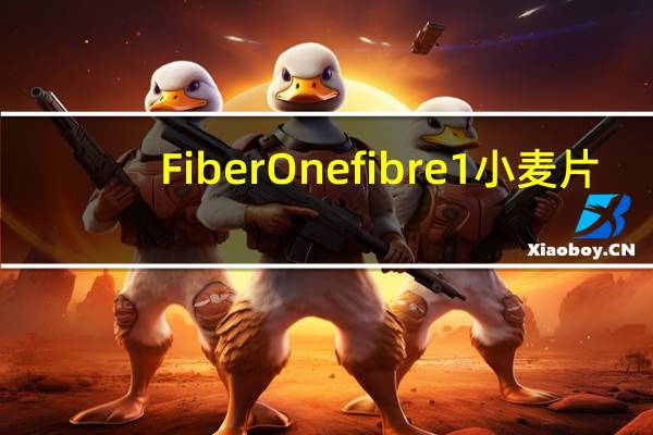 Fiber One fibre 1小麦片(黄糖味)的热量是多少