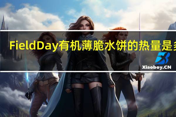 Field Day有机薄脆水饼的热量是多少