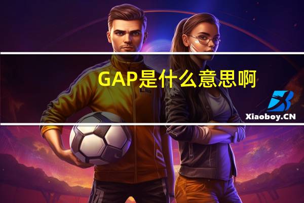 GAP是什么意思啊