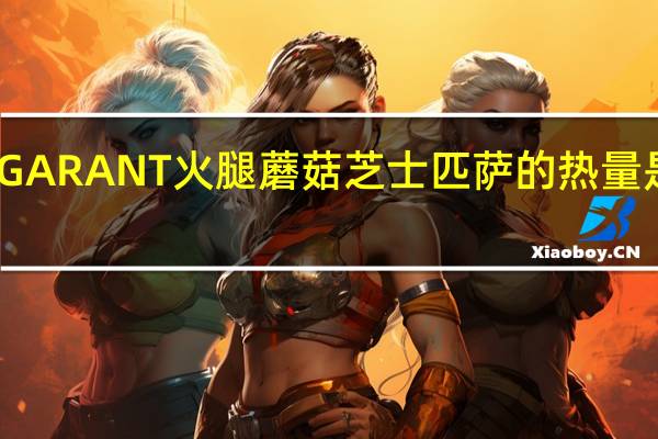 GARANT火腿蘑菇芝士匹萨的热量是多少