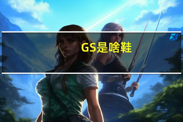 GS是啥鞋