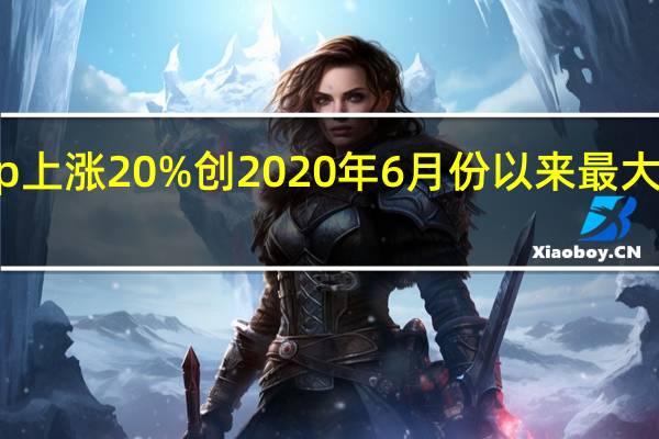 Gap（GPS）上涨20%创2020年6月份以来最大盘中涨幅