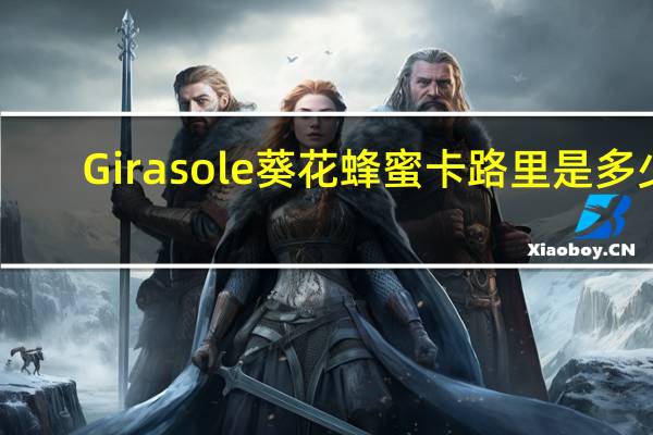Girasole 葵花蜂蜜卡路里是多少