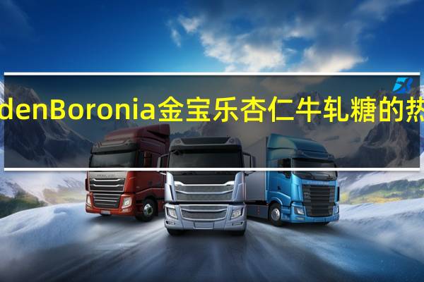 GoldenBoronia金宝乐 杏仁牛轧糖的热量是多少