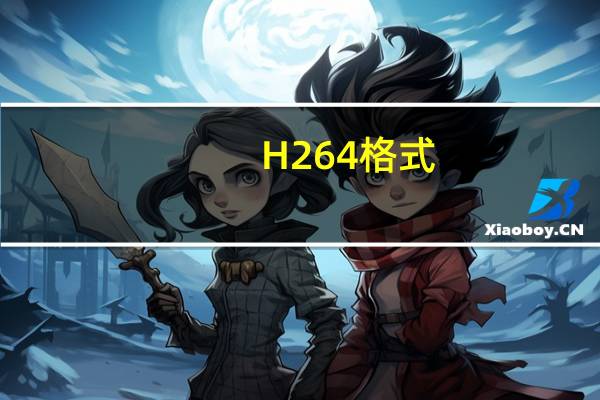 H264格式