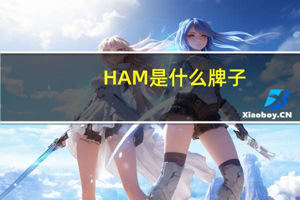HAM是什么牌子